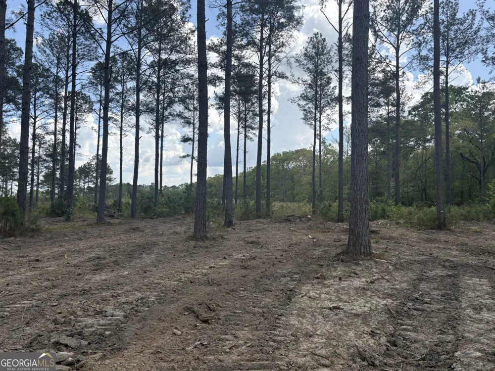 T1 DC Hardie RD Gordon, GA 31031