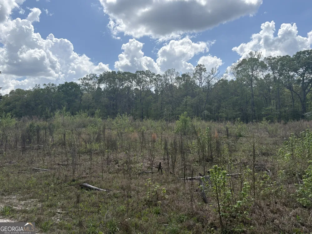 T1 DC Hardie RD Gordon, GA 31031
