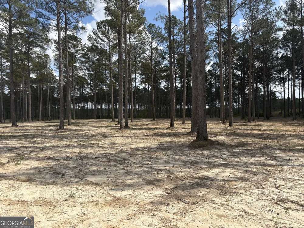 T1 DC Hardie RD Gordon, GA 31031