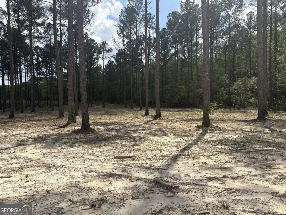 T1 DC Hardie RD Gordon, GA 31031