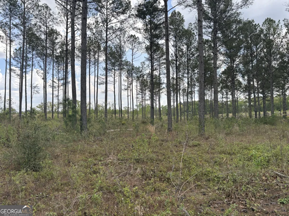 T2 DC Hardie RD Gordon, GA 31031