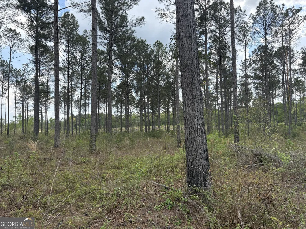 T2 DC Hardie RD Gordon, GA 31031