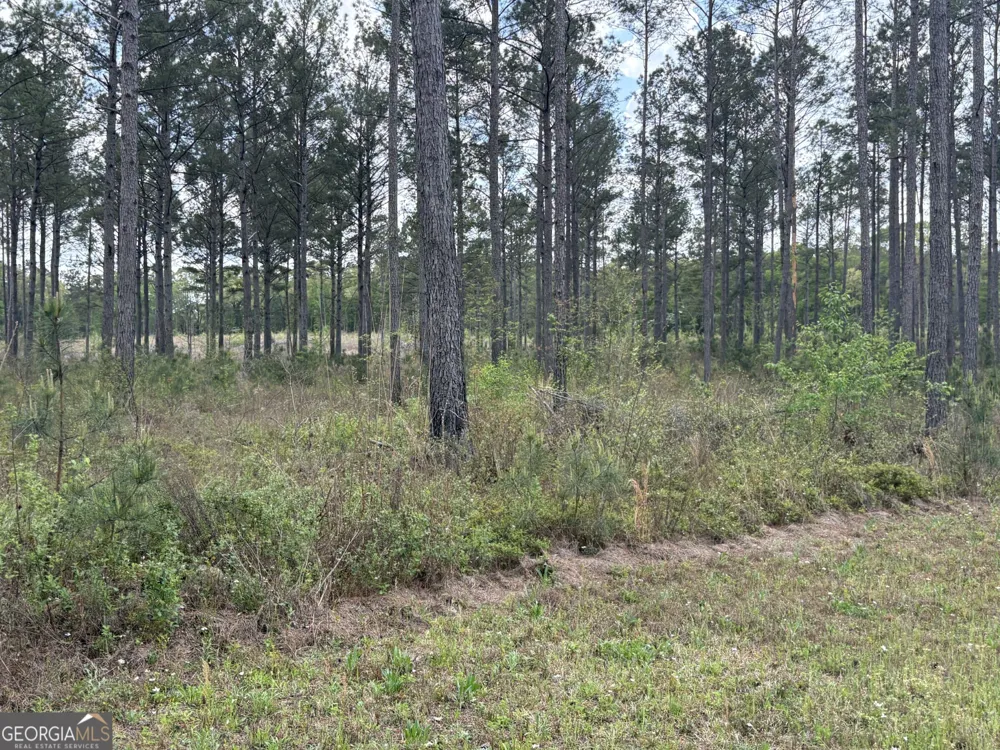 T3 DC Hardie RD Gordon, GA 31031