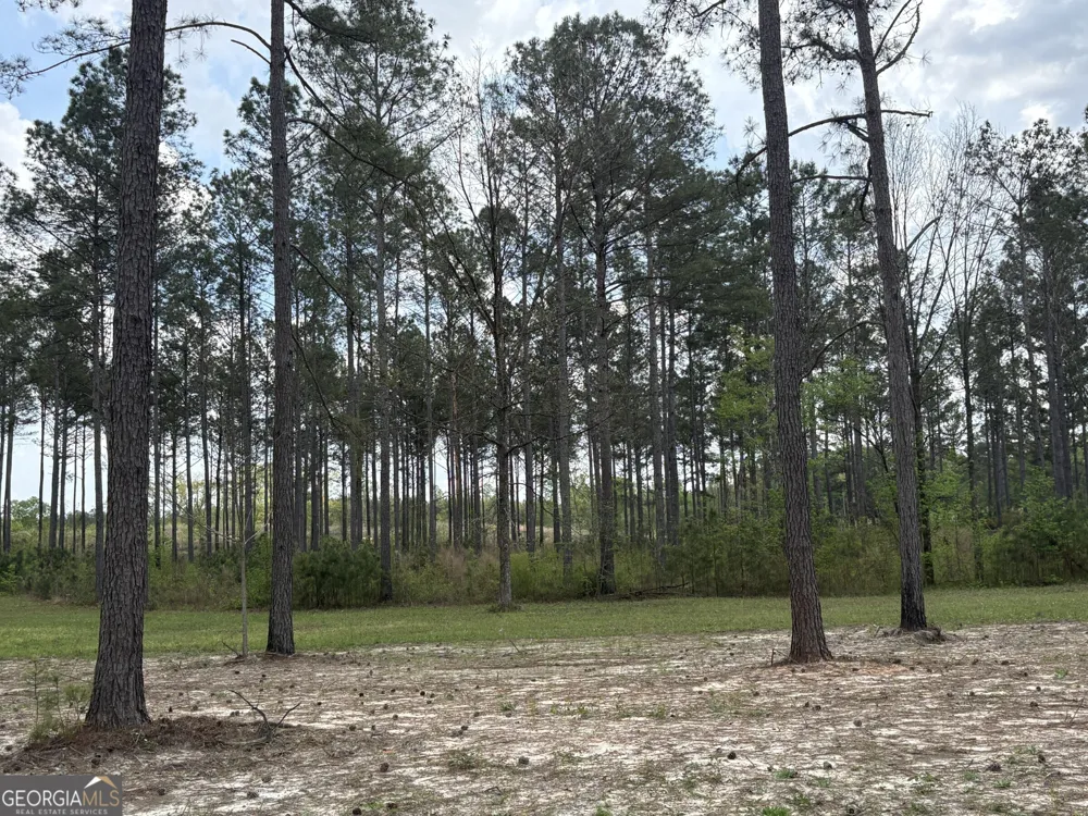 T3 DC Hardie RD Gordon, GA 31031