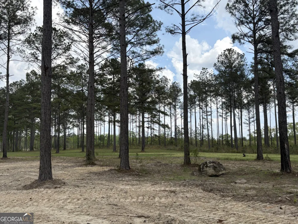 T3 DC Hardie RD Gordon, GA 31031