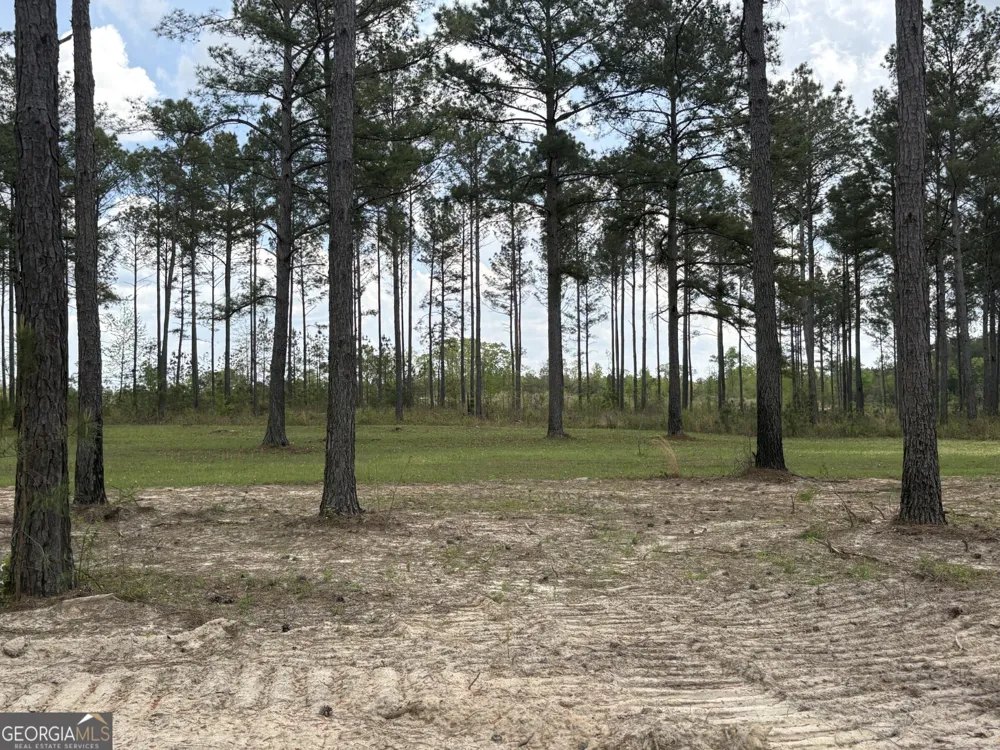 T3 DC Hardie RD Gordon, GA 31031