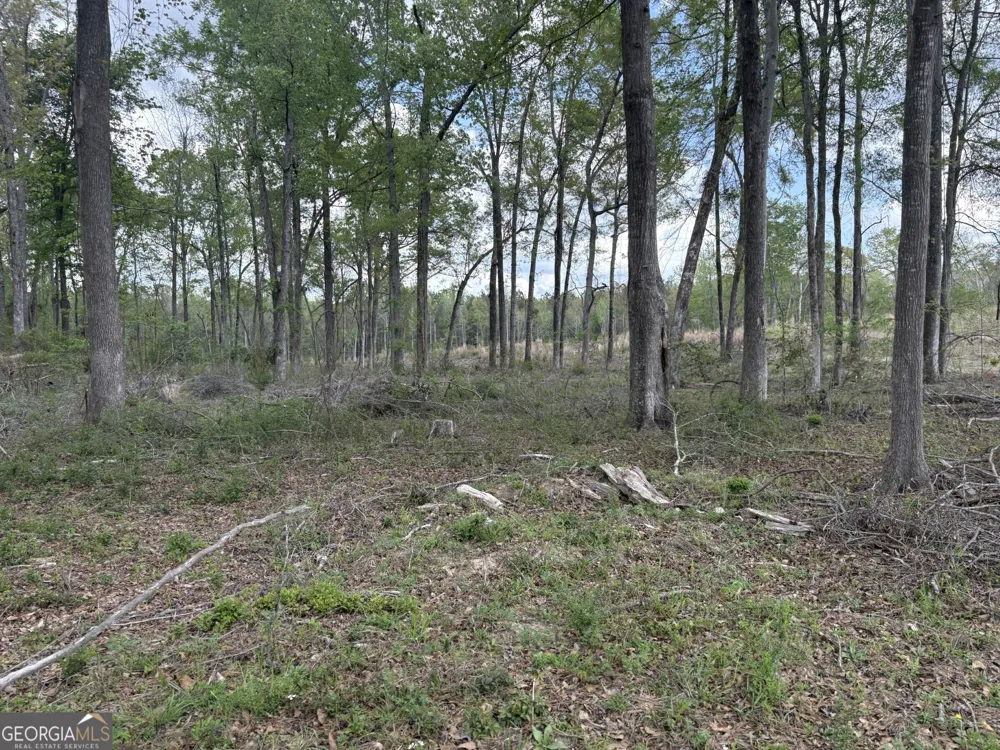T4 DC Hardie RD Gordon, GA 31031