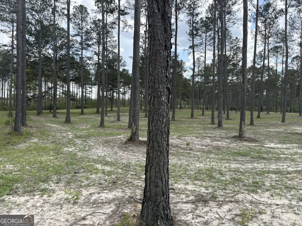 T4 DC Hardie RD Gordon, GA 31031