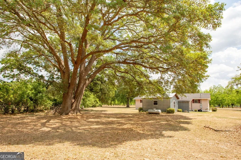 3113 Ware ST Blackshear, GA 31516