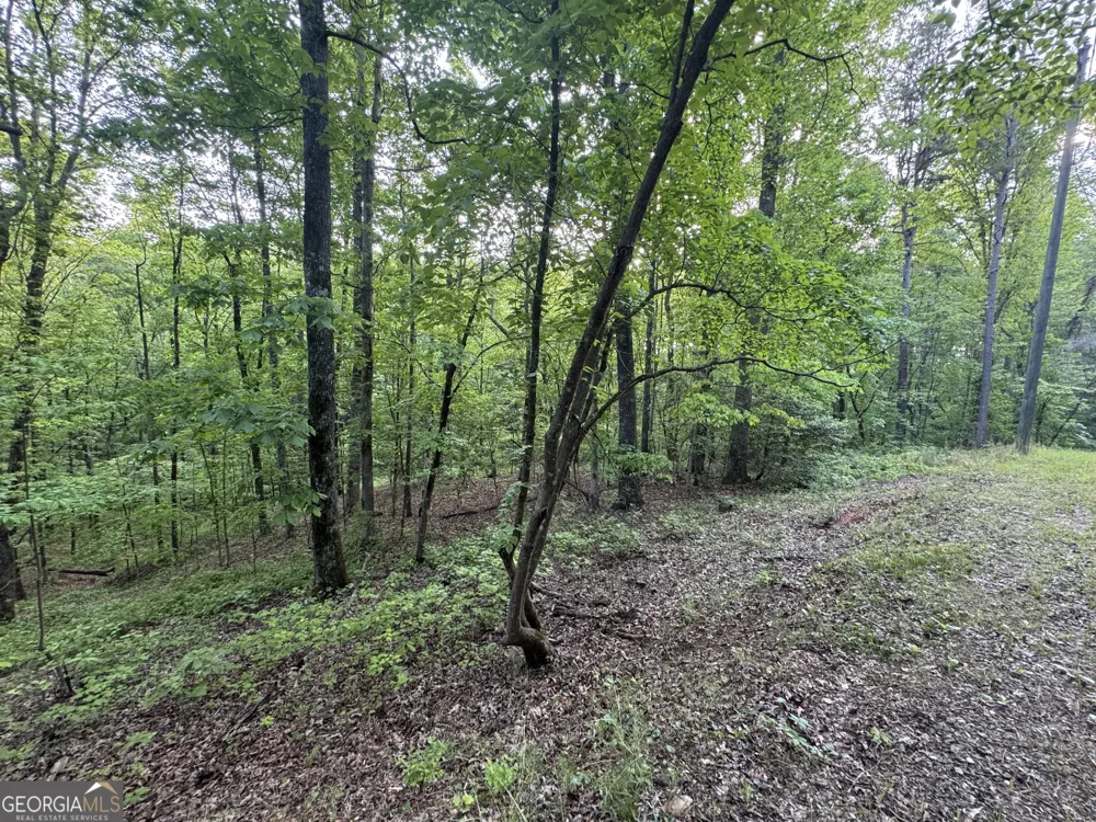 1 Holley HTS Jasper, GA 30143
