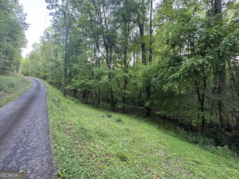 1 Holley HTS Jasper, GA 30143