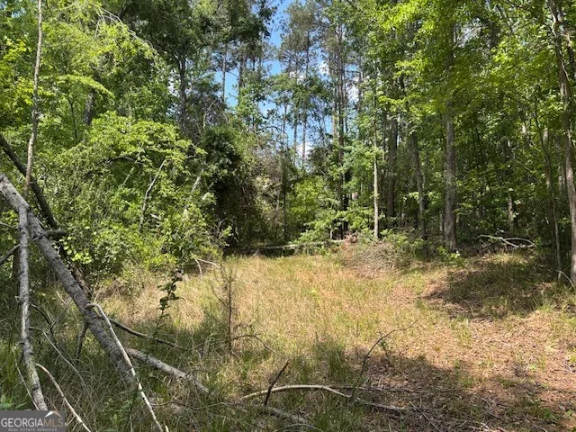 2064 Glenn FLS Grovetown, GA 30813