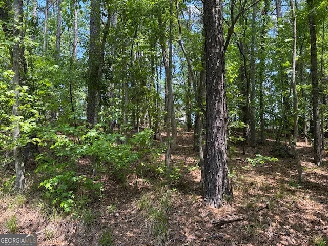 2064 Glenn FLS Grovetown, GA 30813