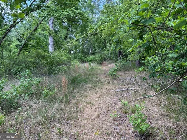 2064 Glenn FLS Grovetown, GA 30813