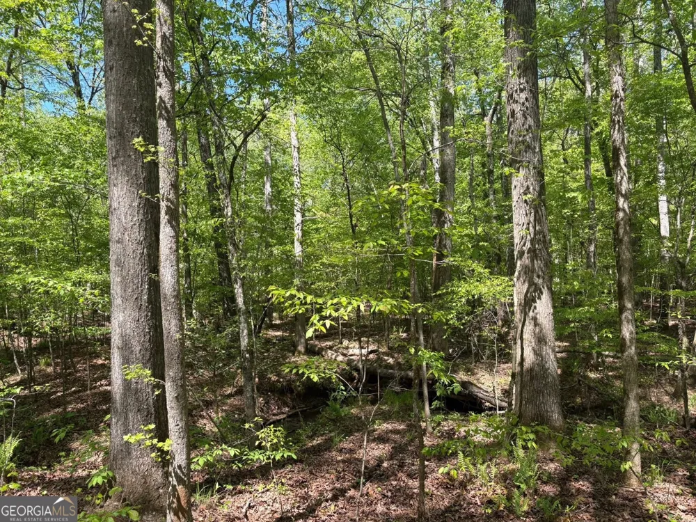 0 OFF North Taylor RD Woodland, GA 31836