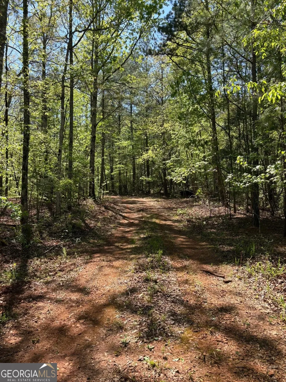 0 OFF North Taylor RD Woodland, GA 31836