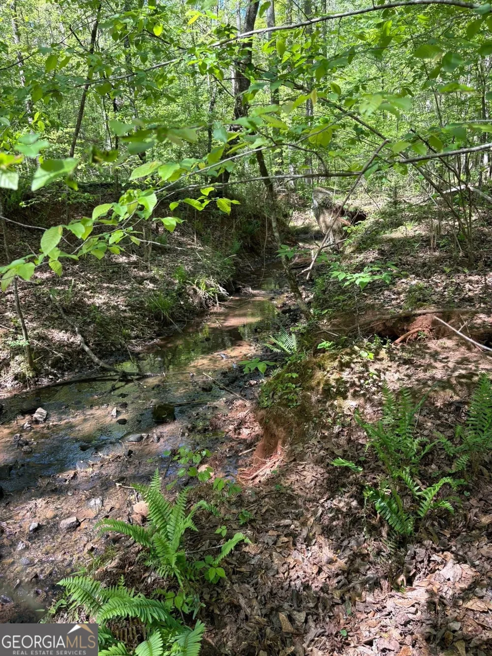 0 OFF North Taylor RD Woodland, GA 31836