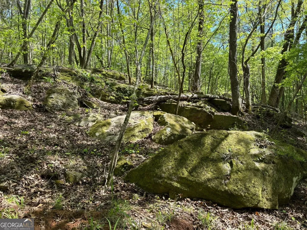 0 OFF North Taylor RD Woodland, GA 31836
