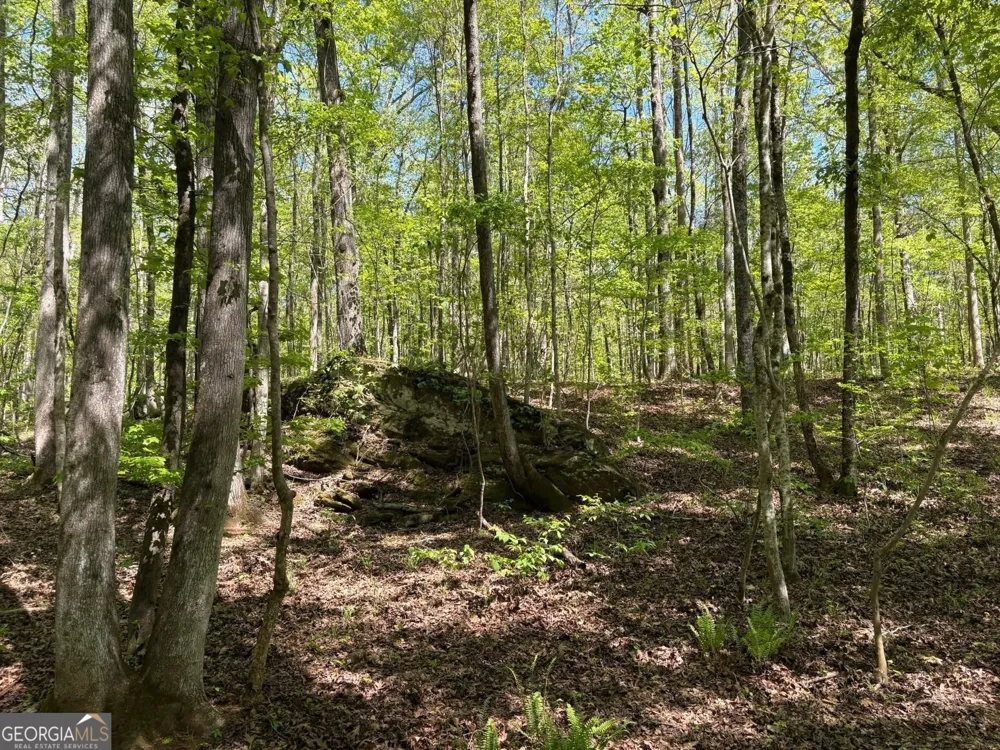 0 OFF North Taylor RD Woodland, GA 31836