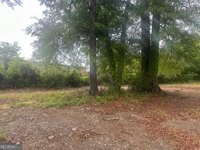 0 Frobel ST Monticello, GA 31064