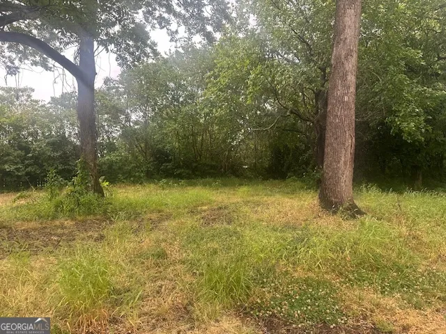 0 Frobel ST Monticello, GA 31064