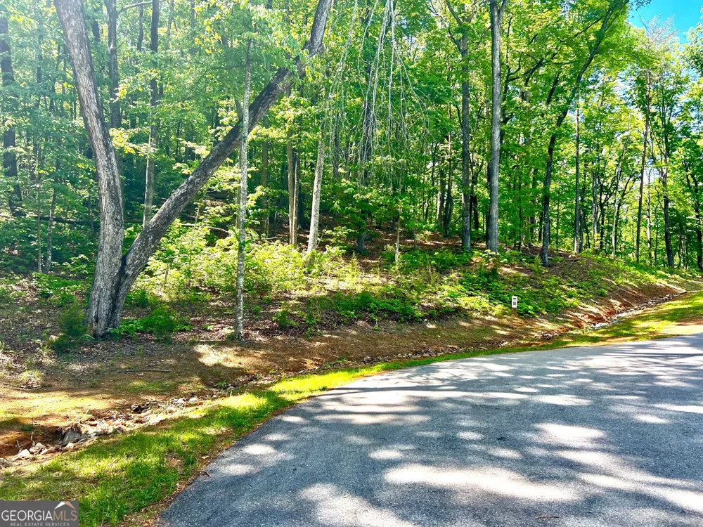 LOT 60 Waterfall LN Sautee Nacoochee, GA 30571