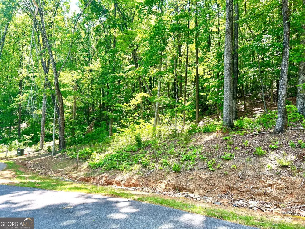 LOT 60 Waterfall LN Sautee Nacoochee, GA 30571