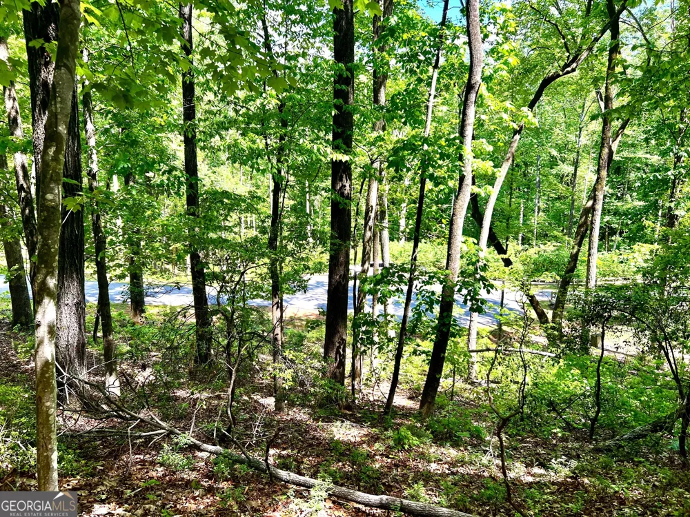 LOT 60 Waterfall LN Sautee Nacoochee, GA 30571