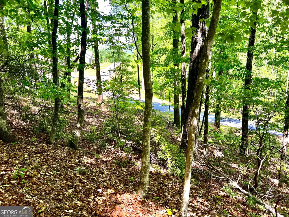 LOT 60 Waterfall LN Sautee Nacoochee, GA 30571