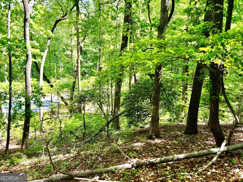 LOT 60 Waterfall LN Sautee Nacoochee, GA 30571