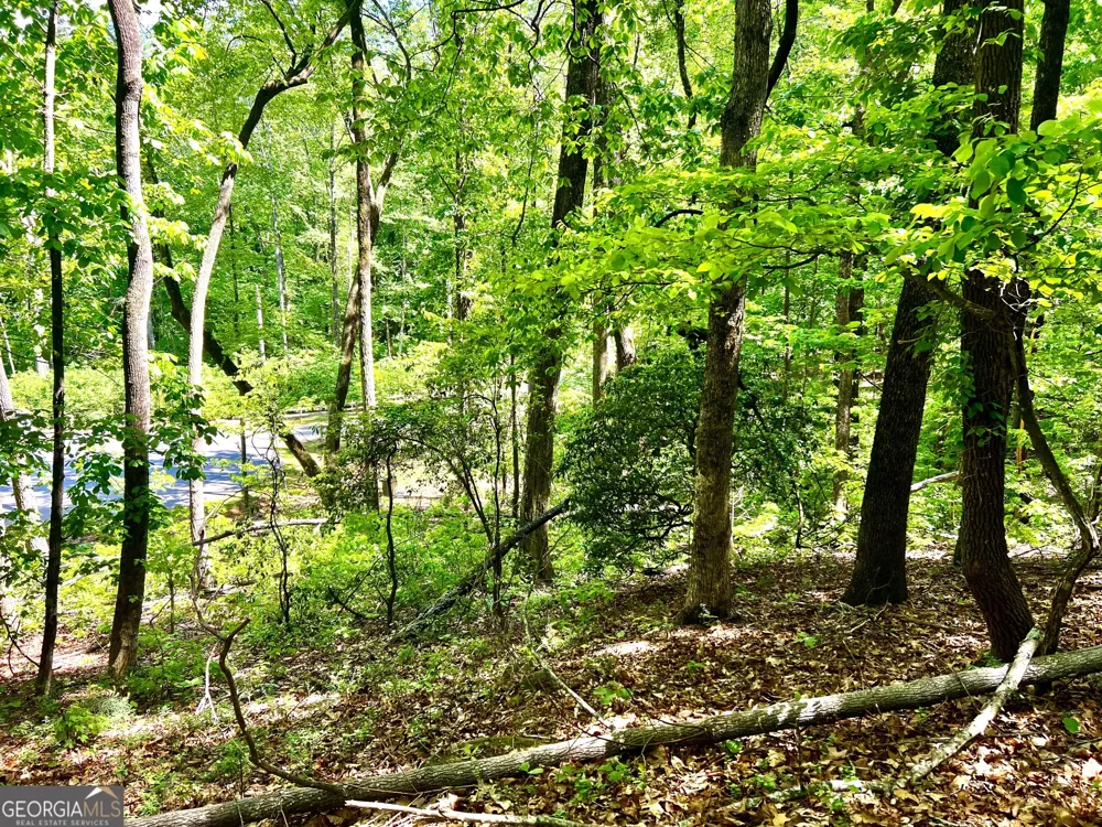 LOT 60 Waterfall LN Sautee Nacoochee, GA 30571