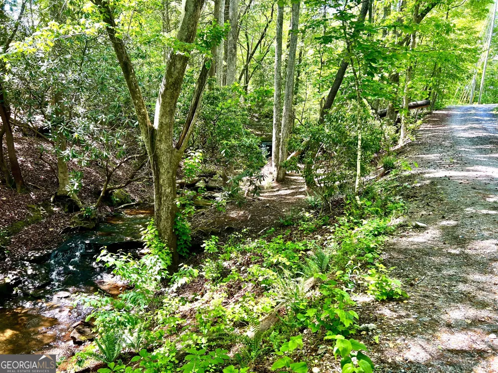 LOT 60 Waterfall LN Sautee Nacoochee, GA 30571