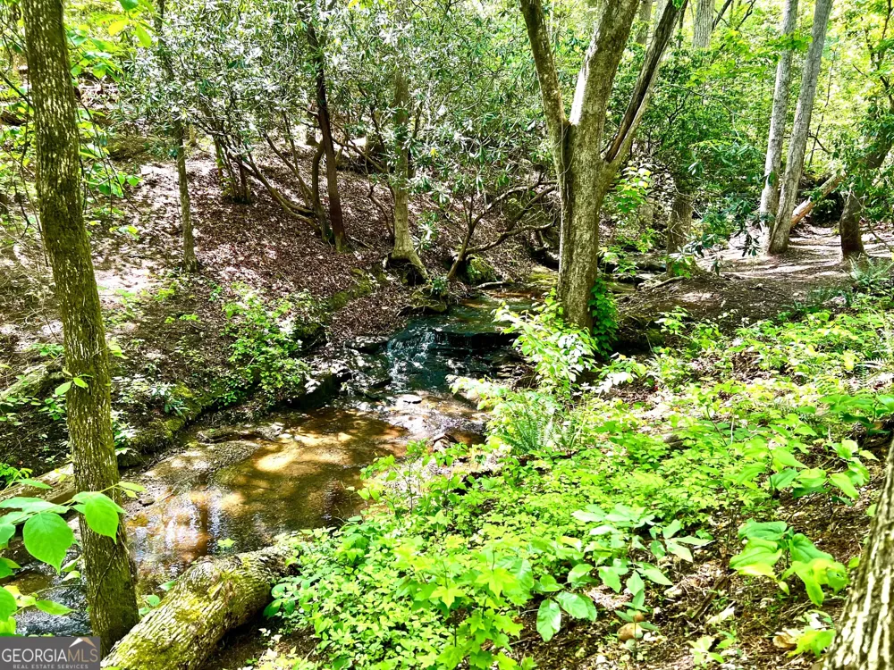 LOT 60 Waterfall LN Sautee Nacoochee, GA 30571