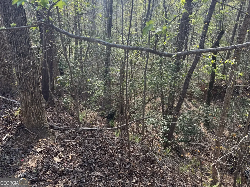 LOT 73 Dach Bruecke Gasse Helen, GA 30545