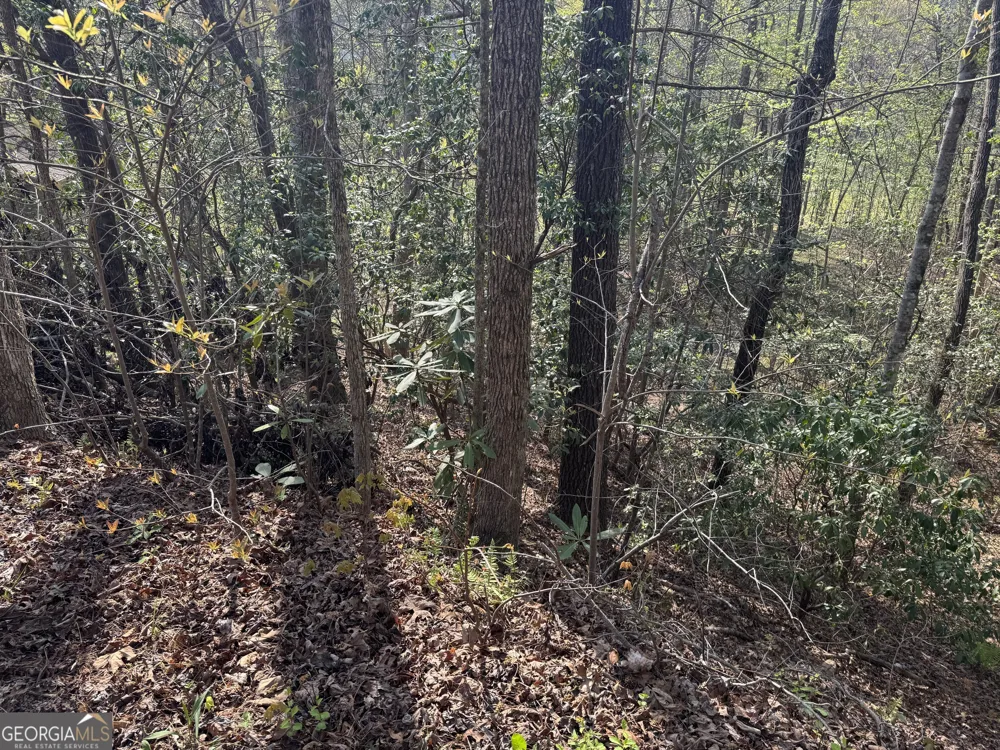 LOT 73 Dach Bruecke Gasse Helen, GA 30545