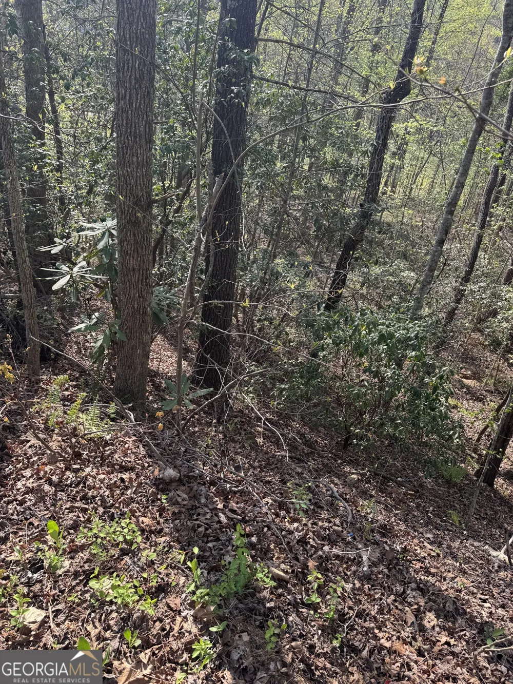 LOT 73 Dach Bruecke Gasse Helen, GA 30545