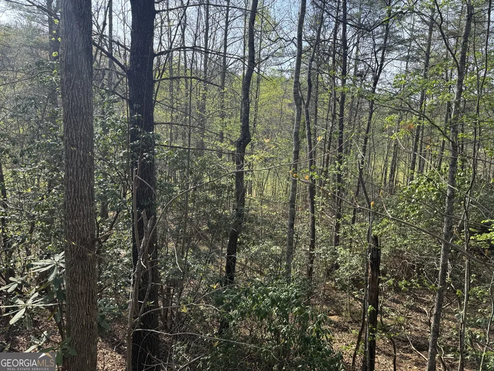 LOT 73 Dach Bruecke Gasse Helen, GA 30545
