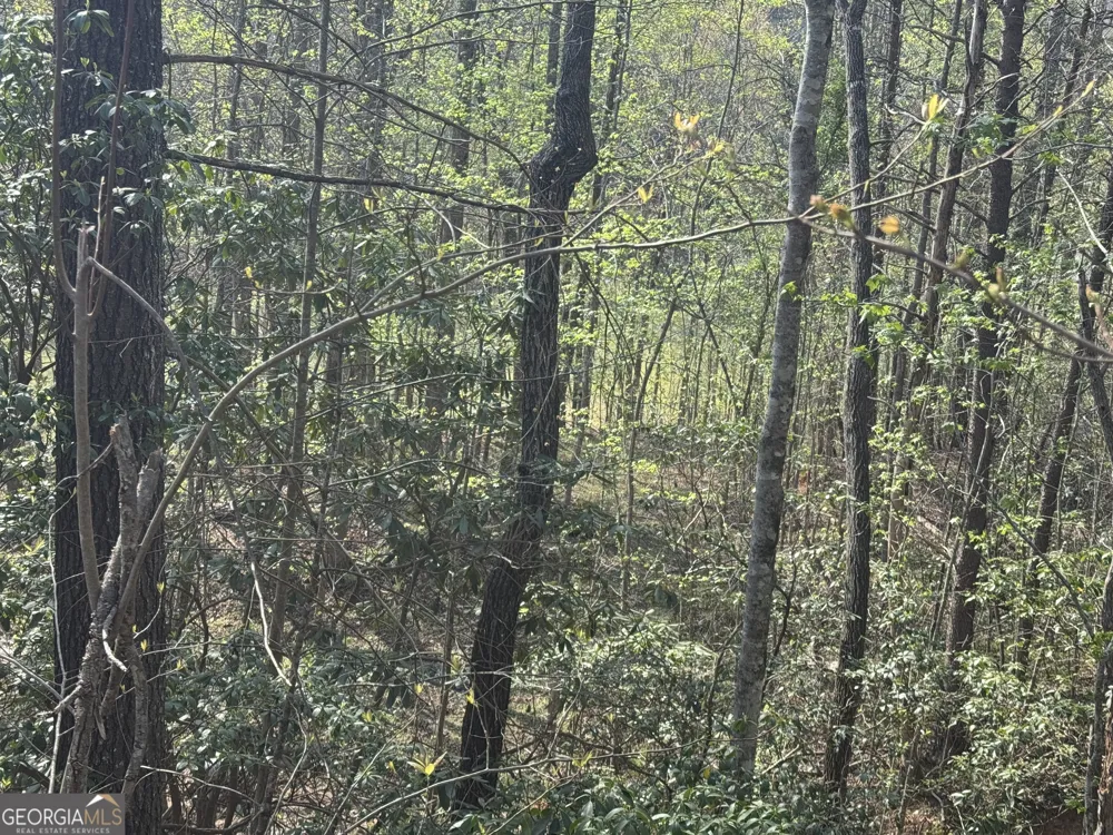 LOT 73 Dach Bruecke Gasse Helen, GA 30545