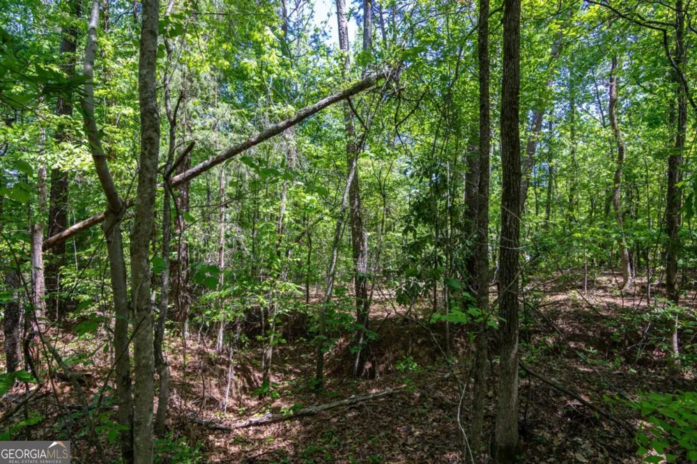 45 Cornish Trace DR Covington, GA 30014