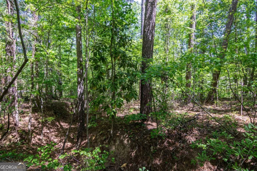 45 Cornish Trace DR Covington, GA 30014
