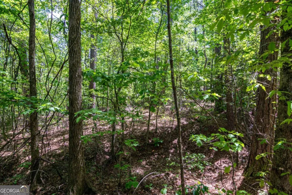 45 Cornish Trace DR Covington, GA 30014