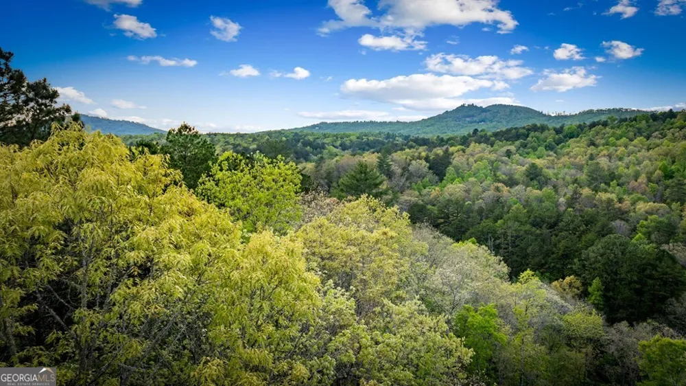 490 Walnut Hills DR Mineral Bluff, GA 30559