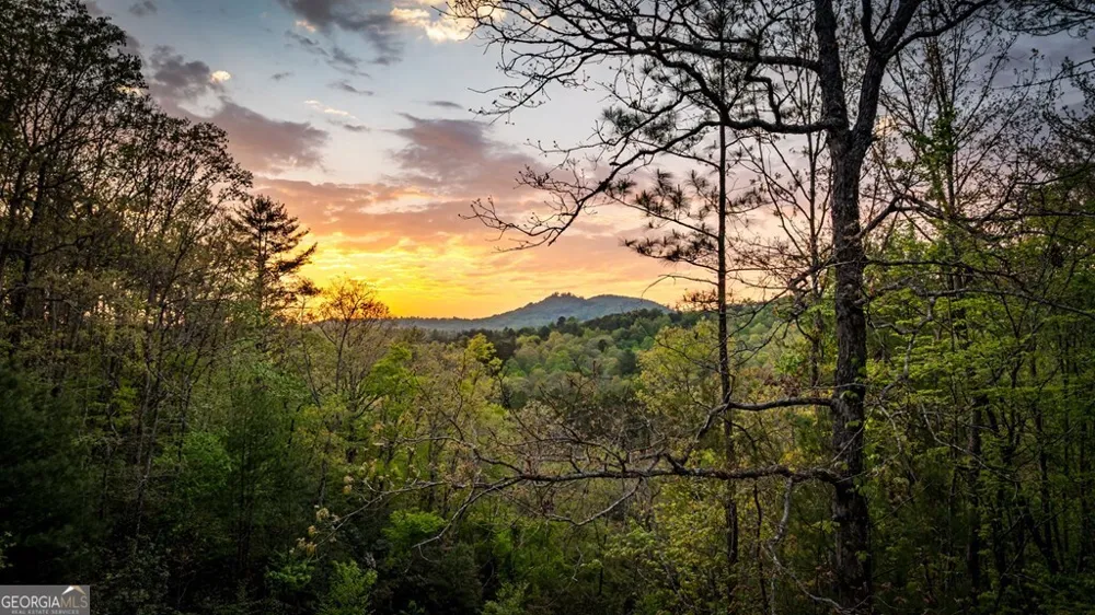490 Walnut Hills DR Mineral Bluff, GA 30559