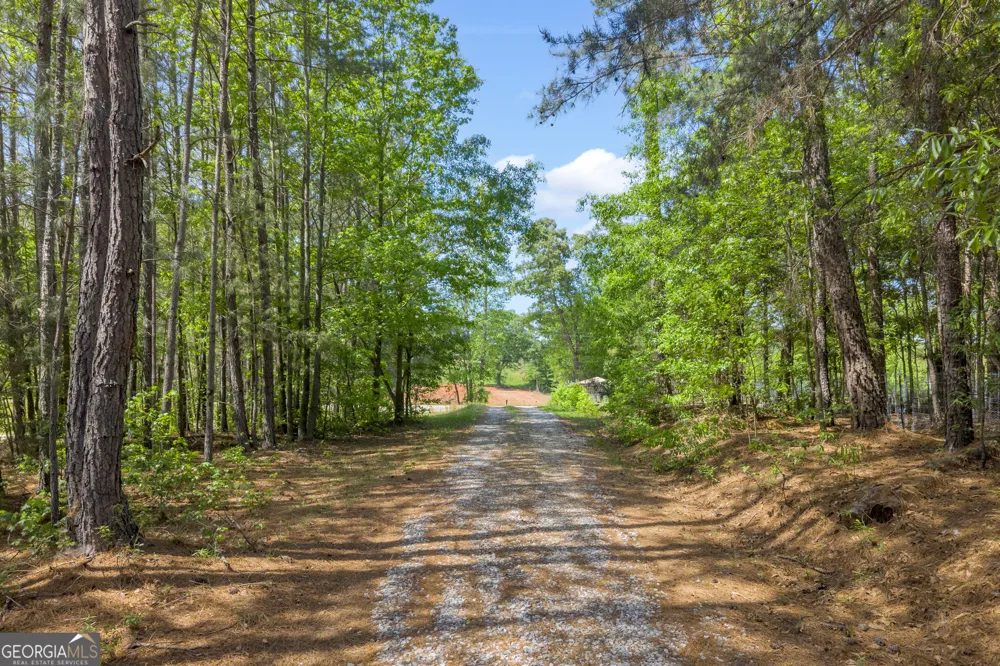 1894 Athens RD Carnesville, GA 30521