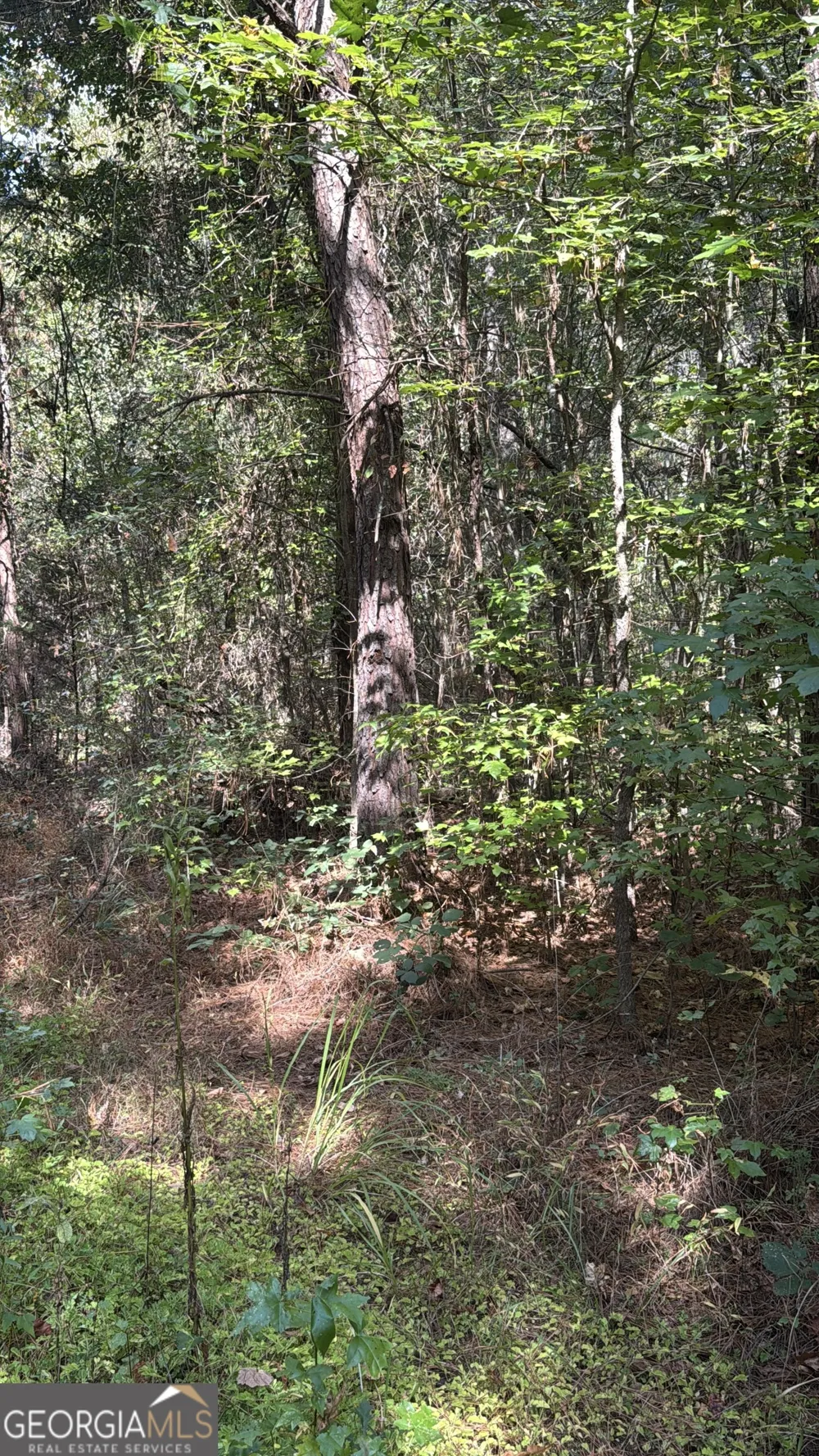 230 Dodgen RD Hampton, GA 30228