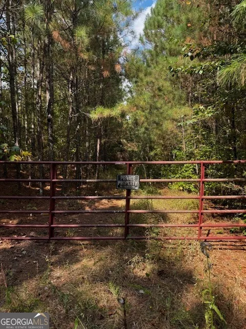 230 Dodgen RD Hampton, GA 30228