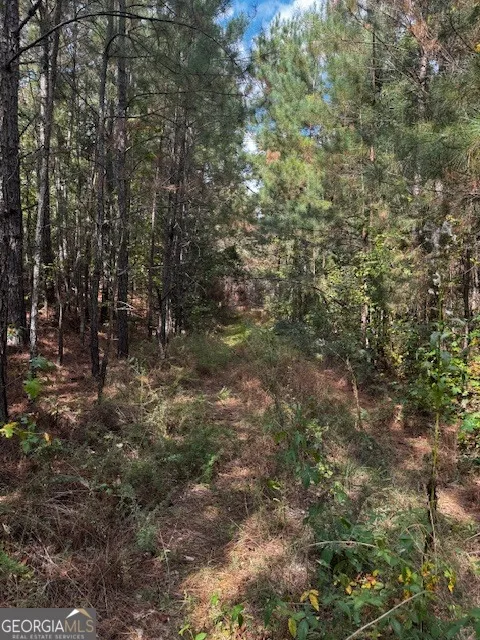 230 Dodgen RD Hampton, GA 30228