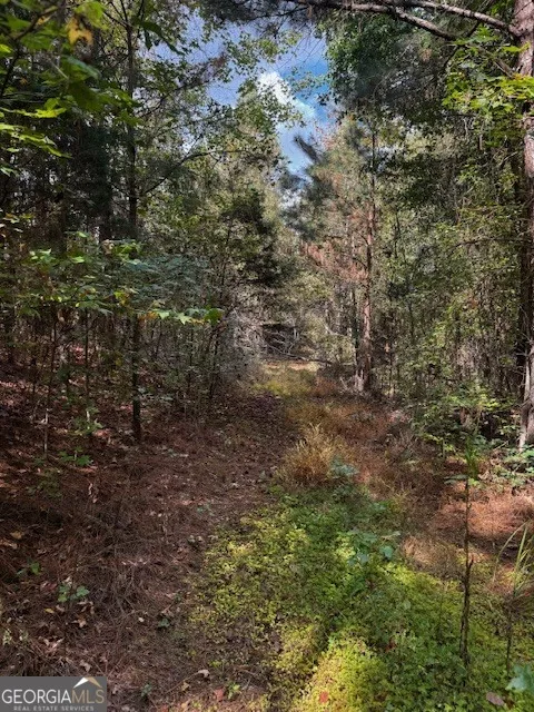 230 Dodgen RD Hampton, GA 30228
