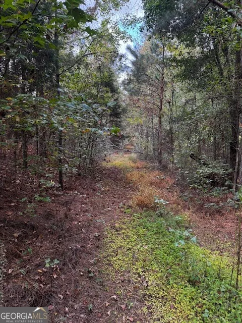 230 Dodgen RD Hampton, GA 30228