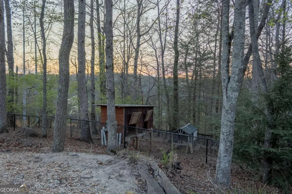 141 Chambers MTN Mineral Bluff, GA 30559